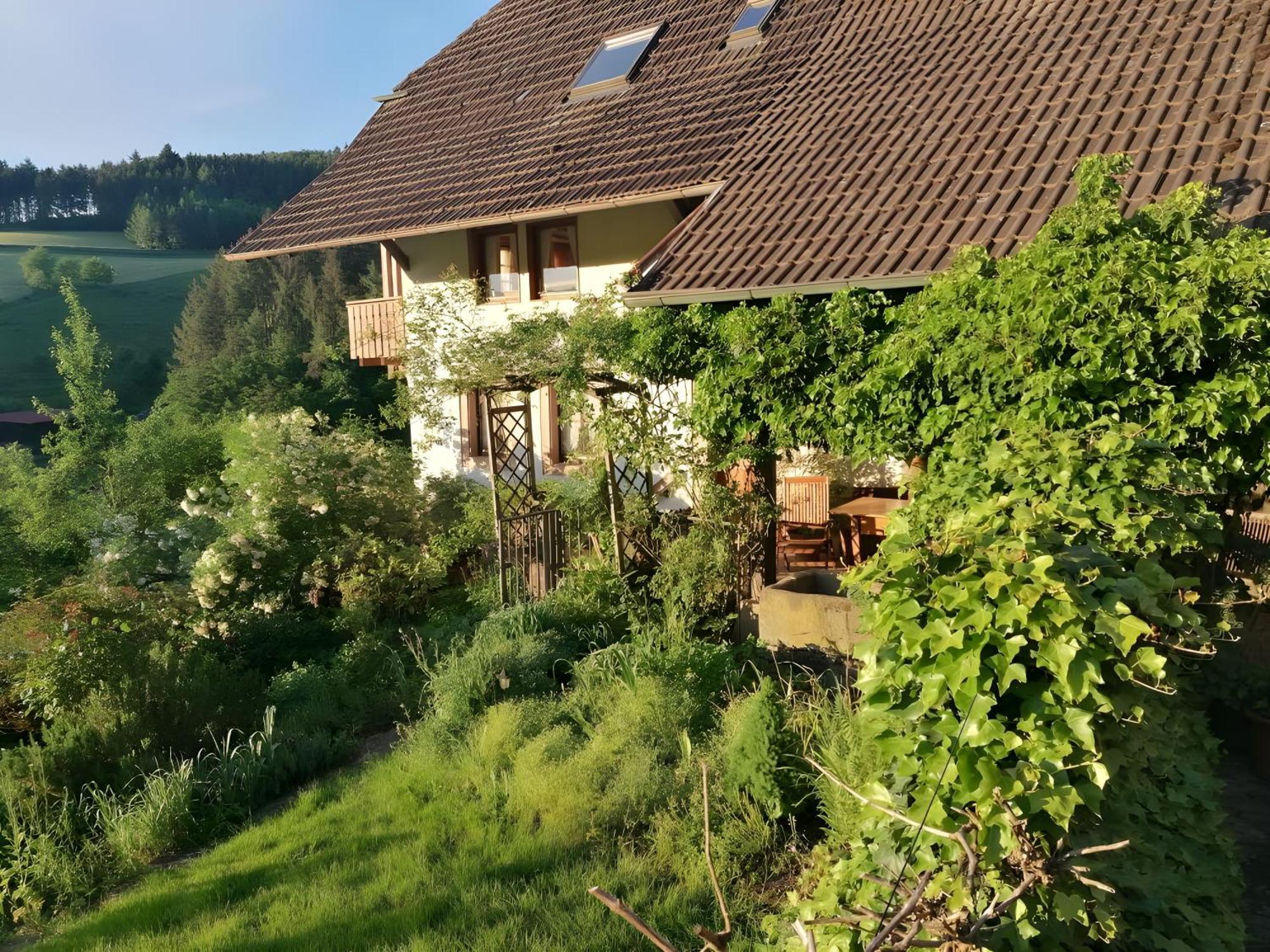 Room In Guest Room - Double Room Apple Blossom Schuttertal Exterior foto